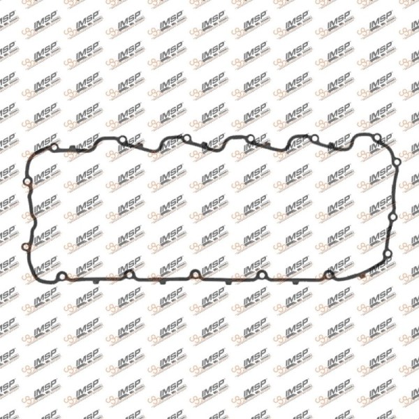 Supap Kapak Contası  1924761