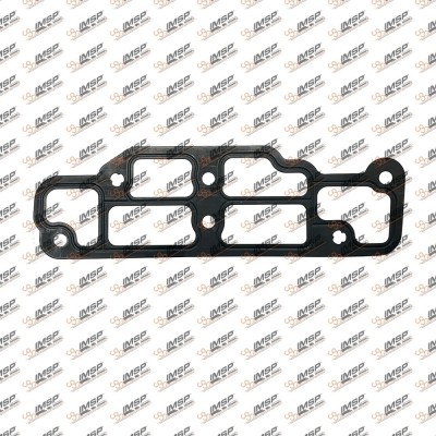 Gasket - Man