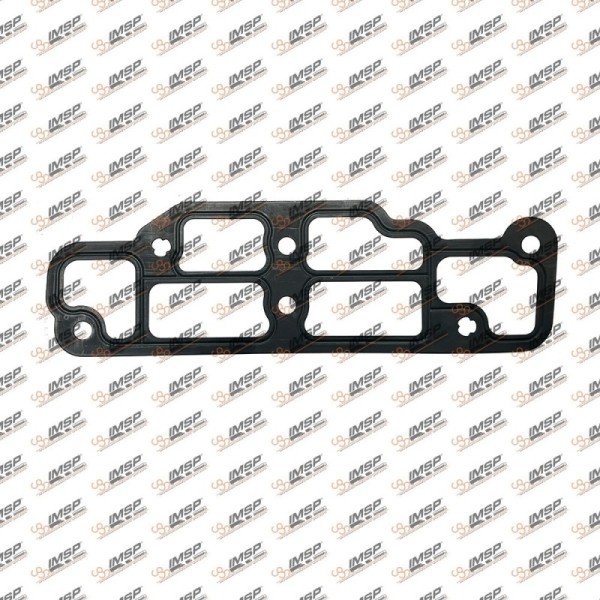 Gasket - Man