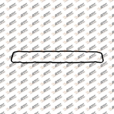 Supap Kapak Contası   5010622086