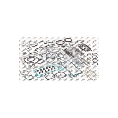 Yarım Takım Conta (Lastik + Pullu) 4210100408