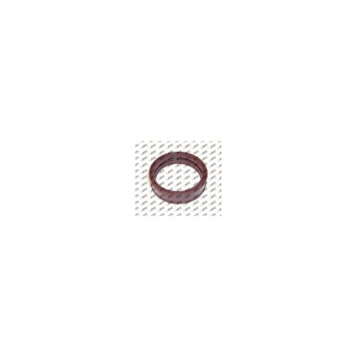 AĞIR SERİ PİSTON LASTİĞİ  41x48x11,70 VİTON  0069976447