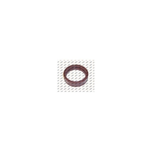 AĞIR SERİ PİSTON LASTİĞİ  41x48x11,70 VİTON  0069976447