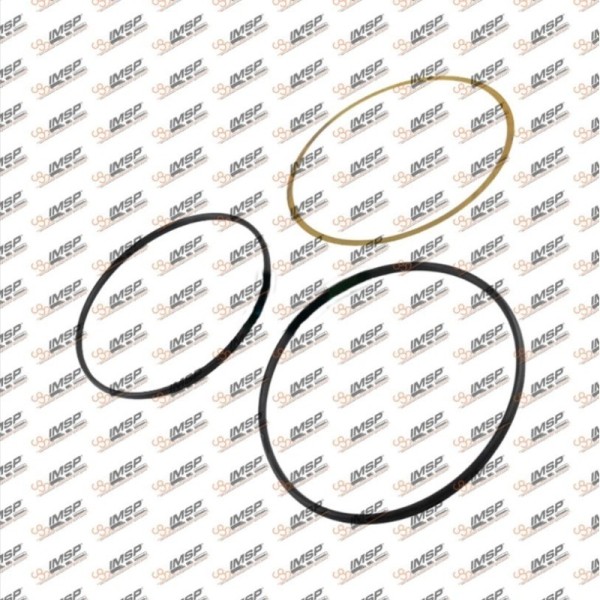 Gömlek Lastik Takımı ACTROS (2 Lastil, 1 Şim) 5410110059 