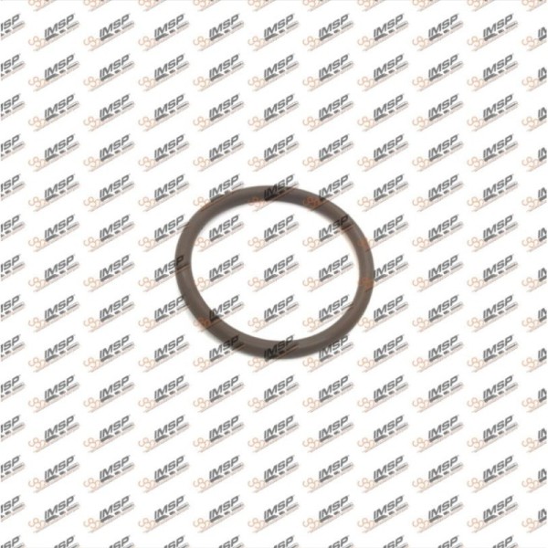Turbo O-Ring  (44x4 FKM Viton) 0219978448 / 0289976348